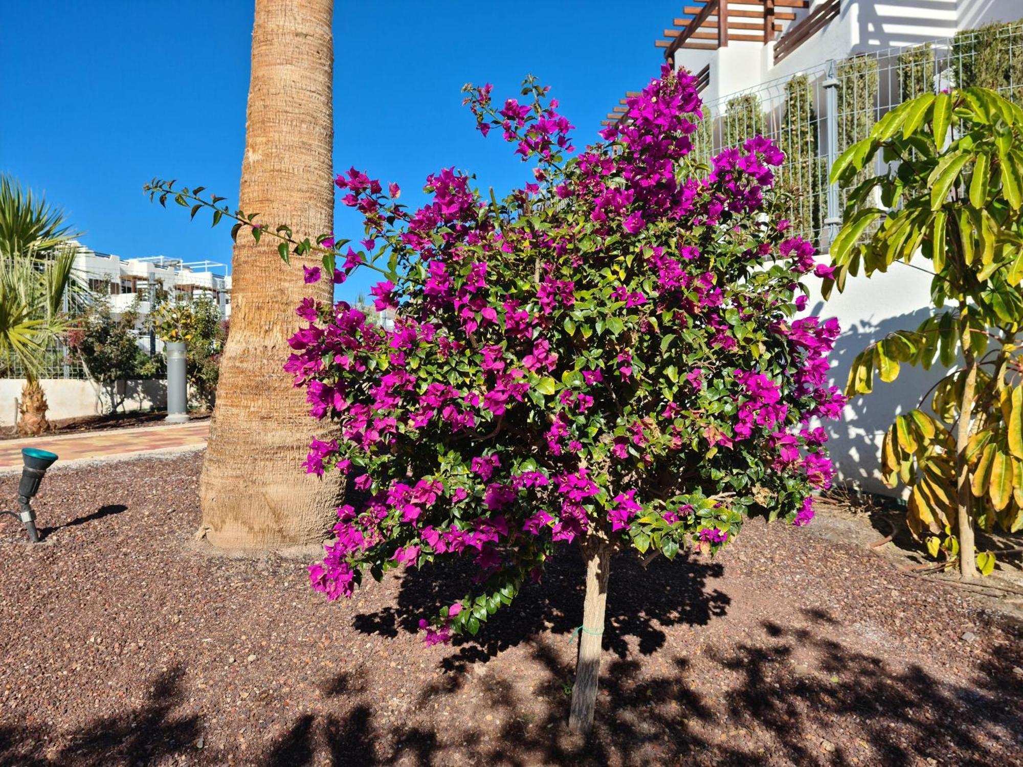 El Sueno Apartment San Juan De Los Terreros Exterior photo