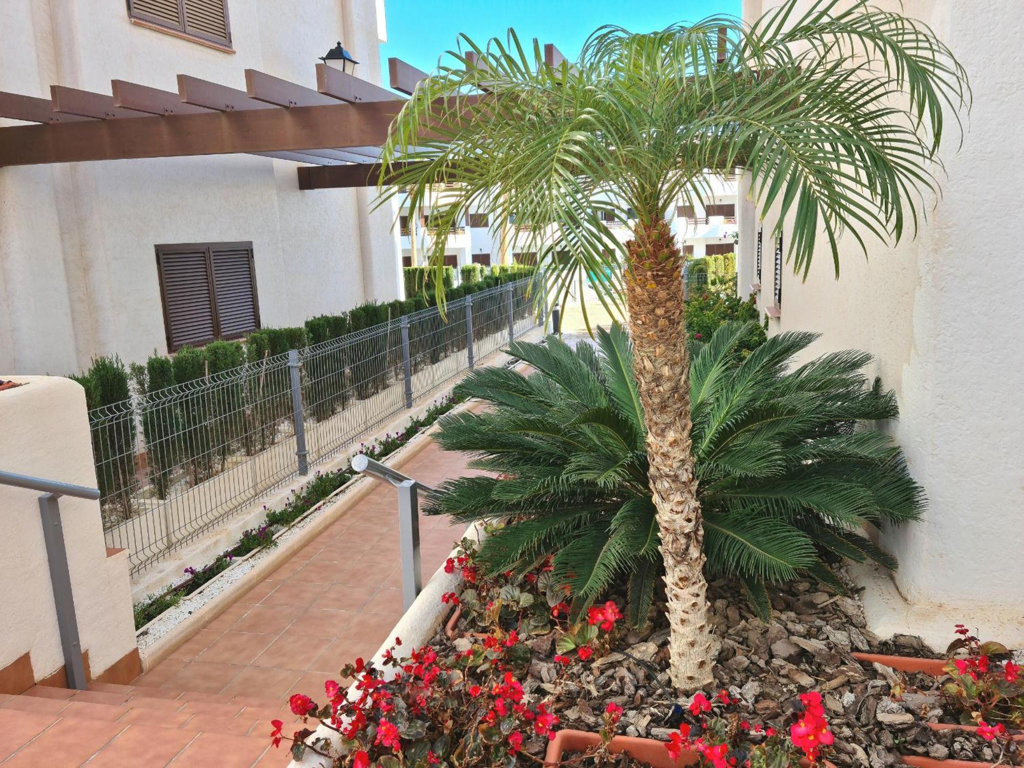 El Sueno Apartment San Juan De Los Terreros Exterior photo